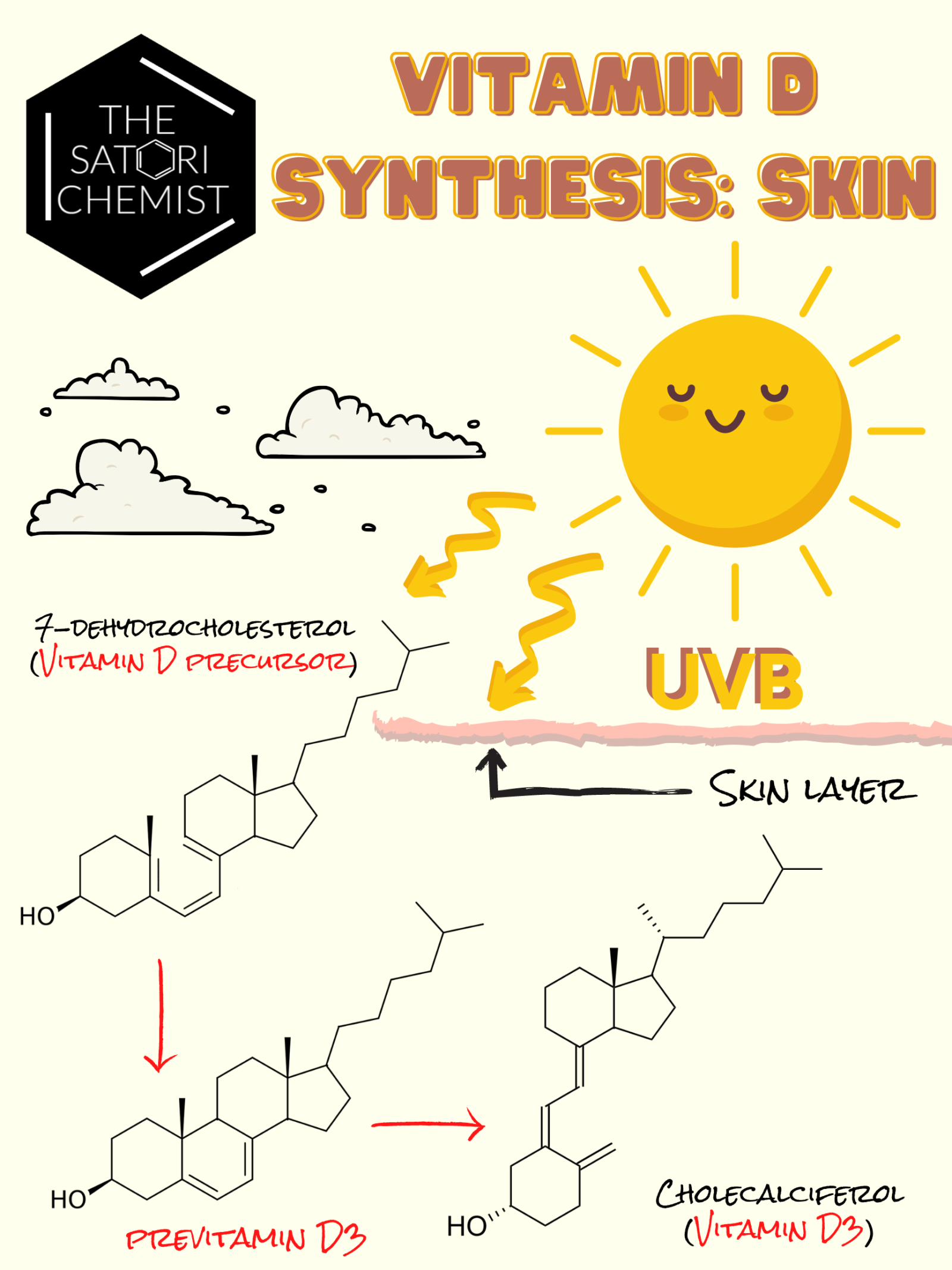 The Ultimate Scientific Guide To Sunscreens The Satori Chemist